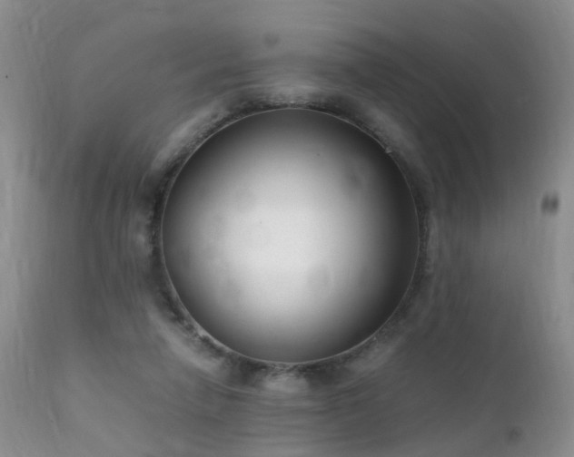 X0000112110258200908111449