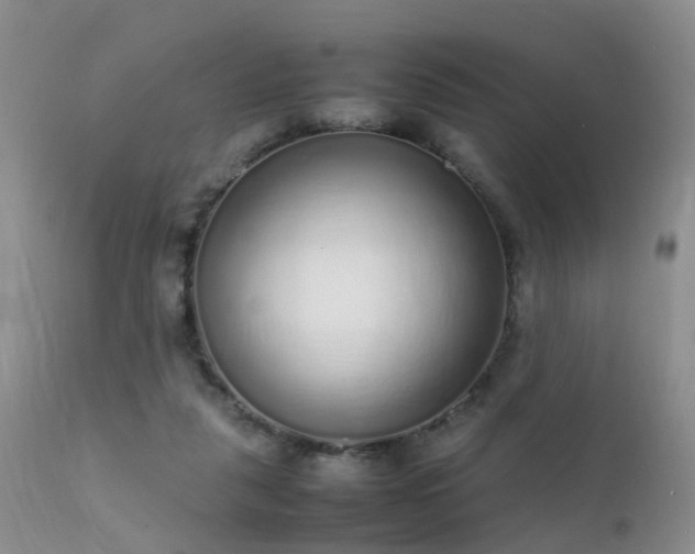 X0000112110259200908111449