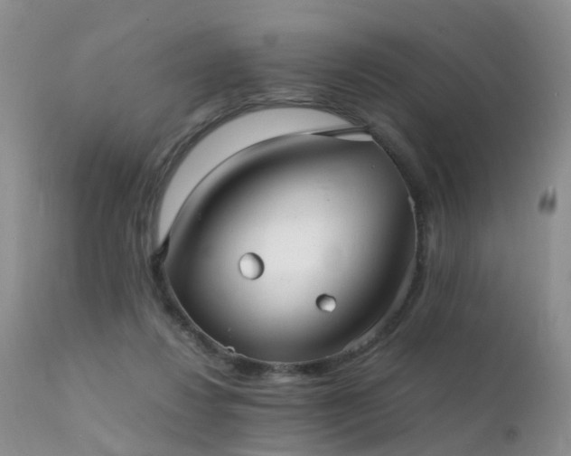 X0000112110260200908111449