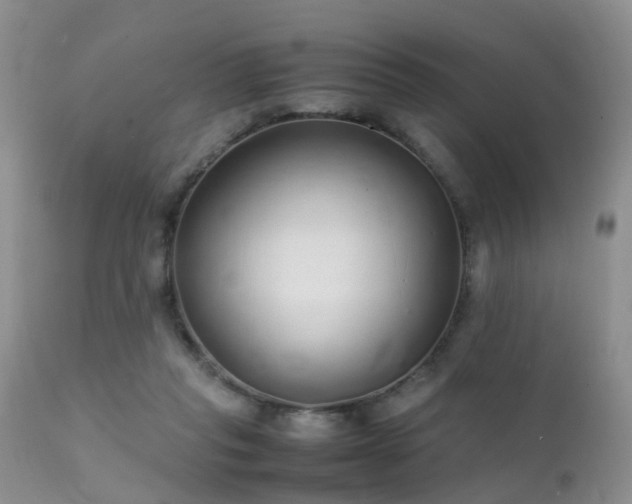 X0000112110261200908111449