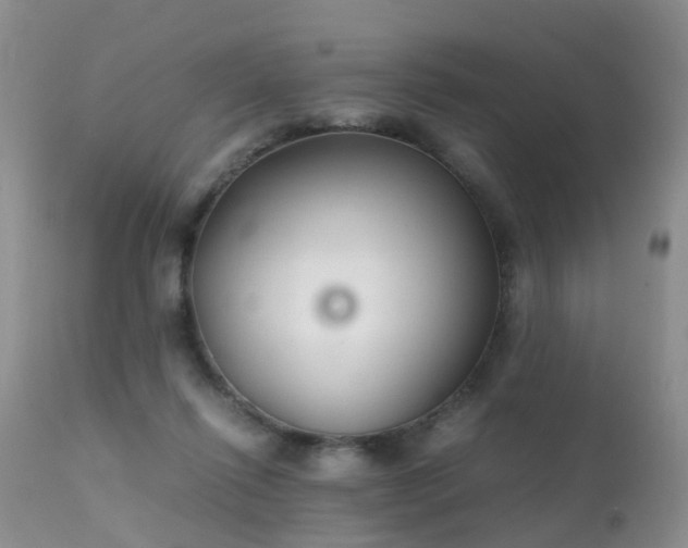 X0000112110262200908111449