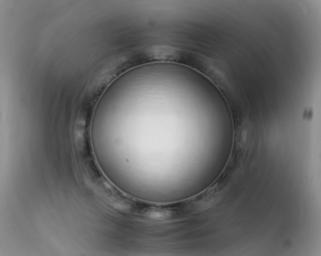 X0000112110263200908111449