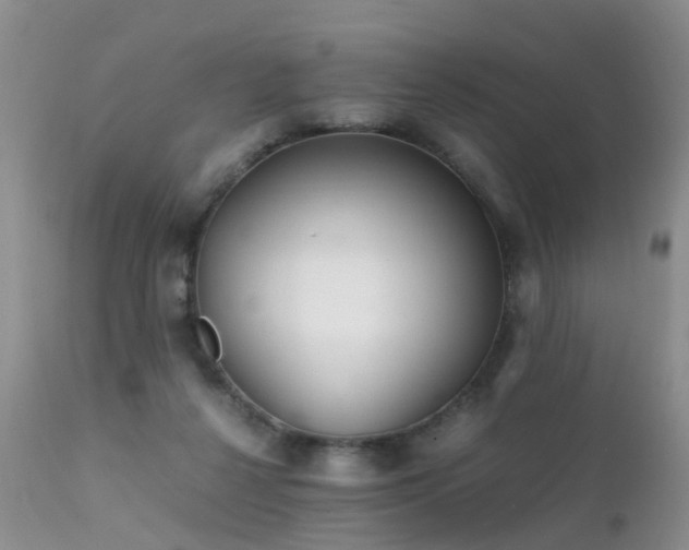 X0000112110264200908111449