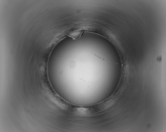 X0000112110265200908111449