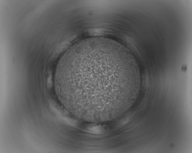 X0000112110267200908111449