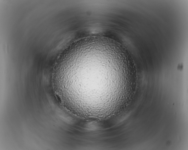 X0000112110269200908111449