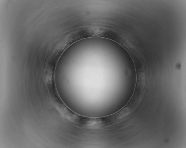 X0000112110274200908111449