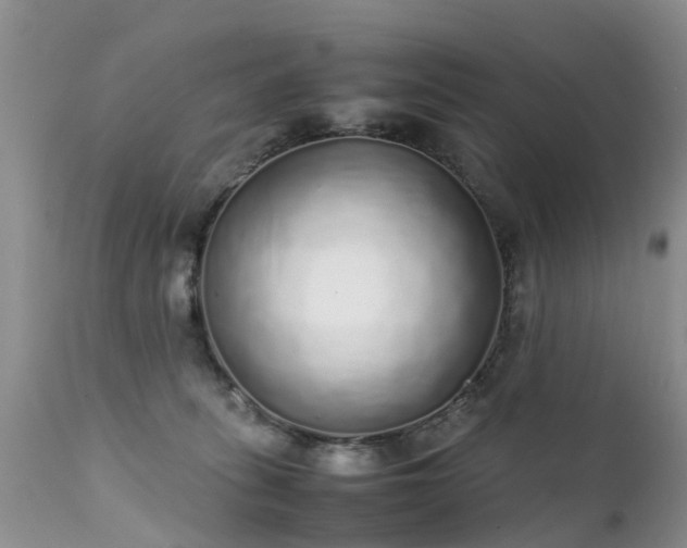 X0000112110275200908111449