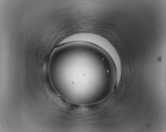 X0000112110276200908111449