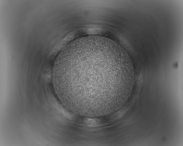 X0000112110277200908111449