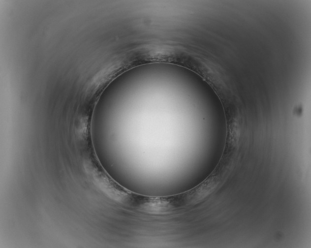 X0000112110278200908111449