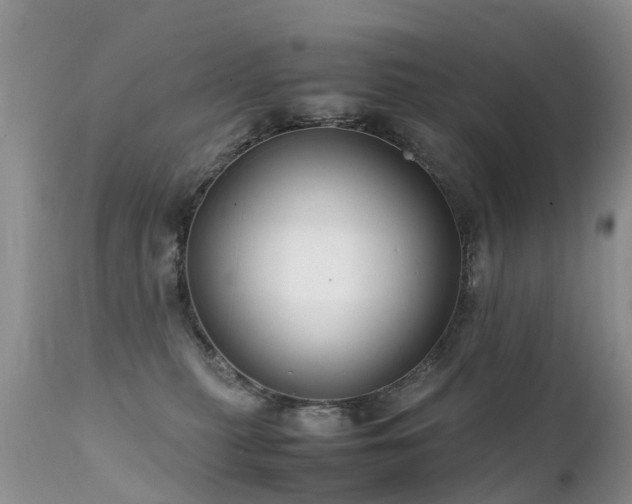 X0000112110279200908111449