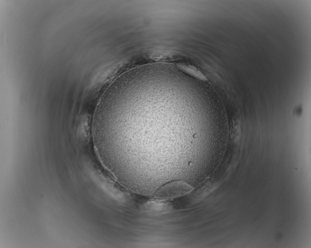 X0000112110280200908111449