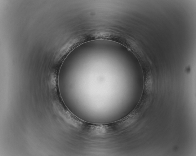 X0000112110282200908111449