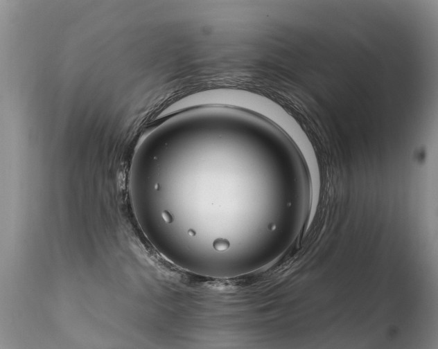 X0000112110284200908111450