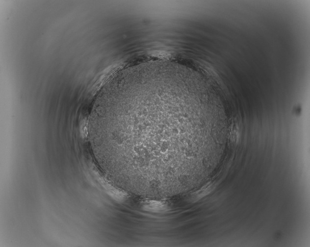 X0000112110285200908111450