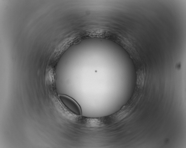 X0000112110287200908111450