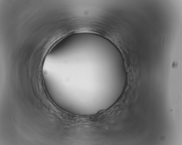 X0000112110289200908111449