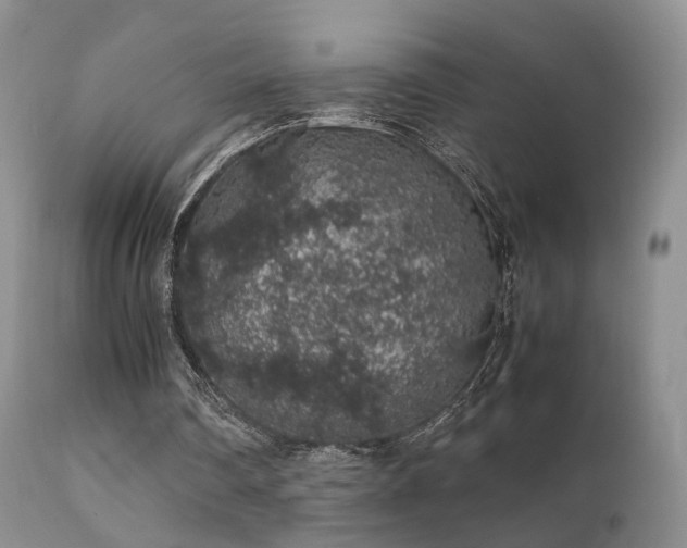 X0000112110290200908111449