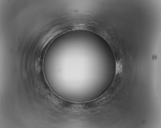 X0000112110291200908111449