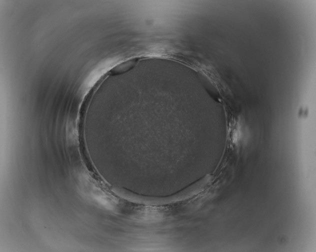 X0000112110292200908111449