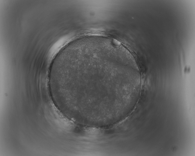 X0000112110293200908111449