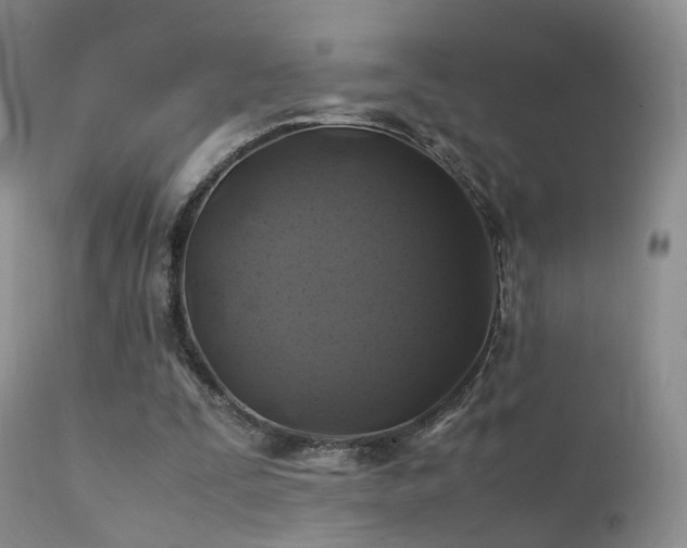 X0000112110295200908111449