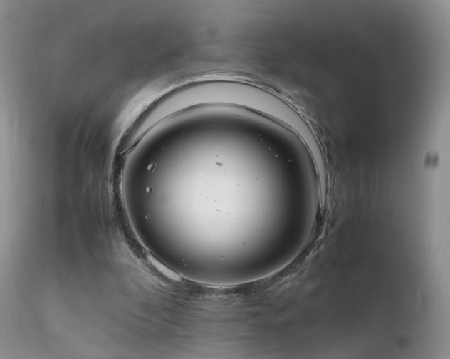 X0000112110296200908111449