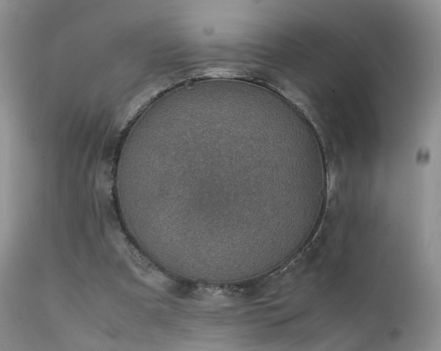 X0000112110297200908111449