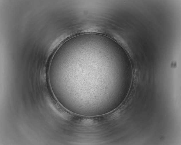 X0000112110298200908111449