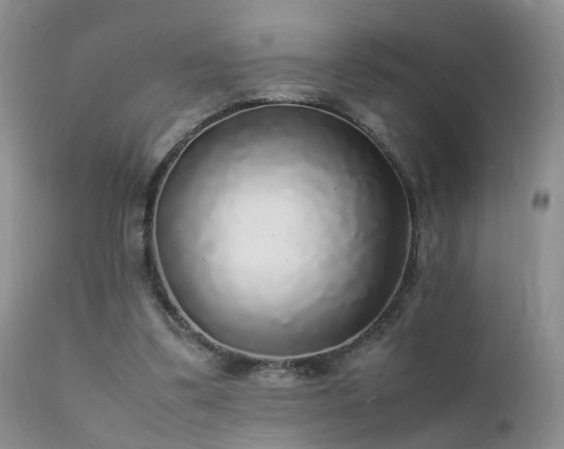 X0000112110299200908111449