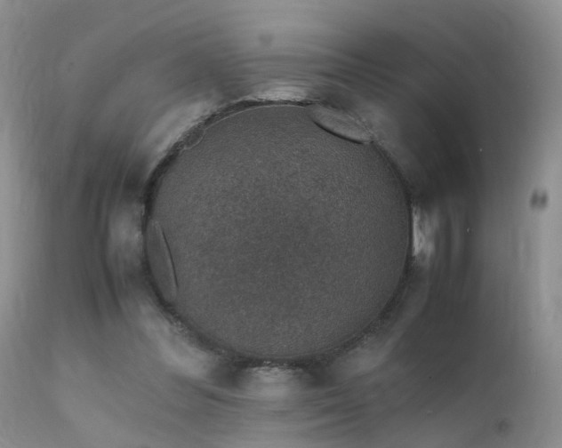 X0000112110300200908111449