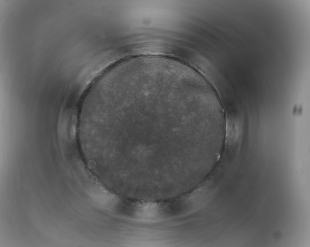 X0000112110301200908111449