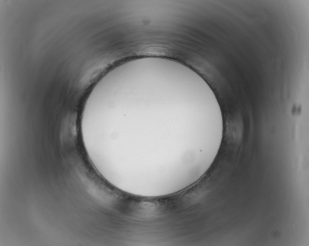 X0000112110302200908111449