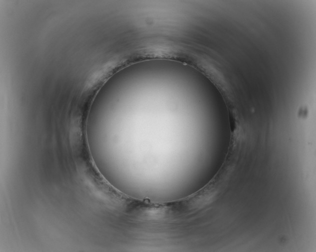 X0000112110306200908111449