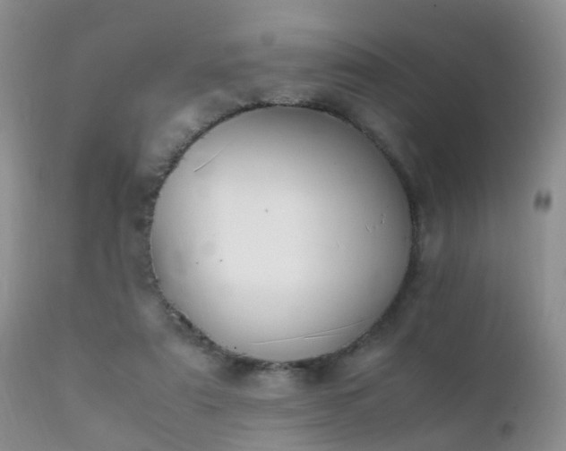 X0000112110307200908111449