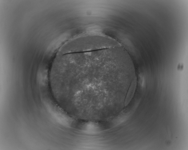 X0000112110308200908111449