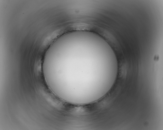 X0000112110310200908111449