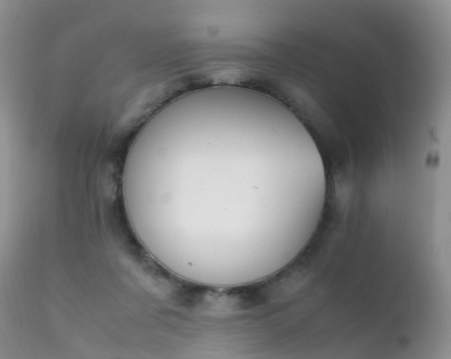 X0000112110311200908111449