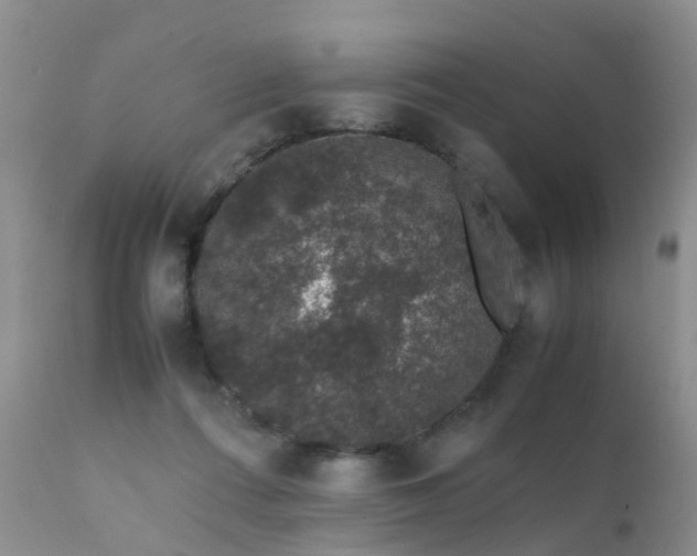 X0000112110312200908111449