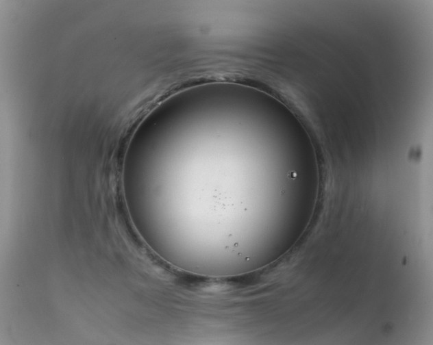 X0000112110313200908111449