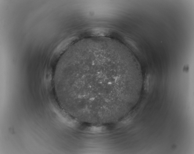 X0000112110314200908111449