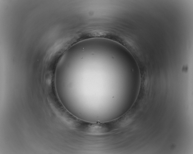 X0000112110315200908111449