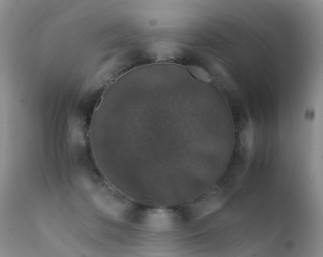 X0000112110316200908111449