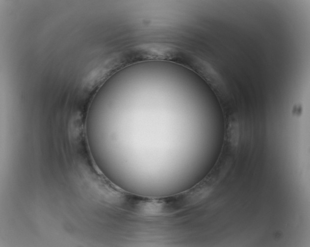 X0000112110318200908111449