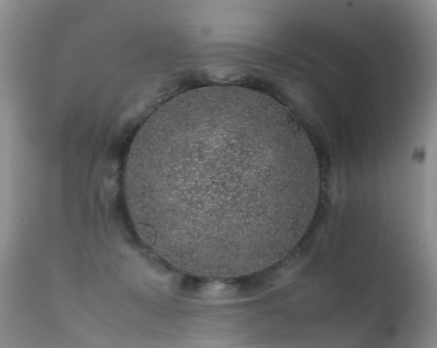 X0000112110319200908111449