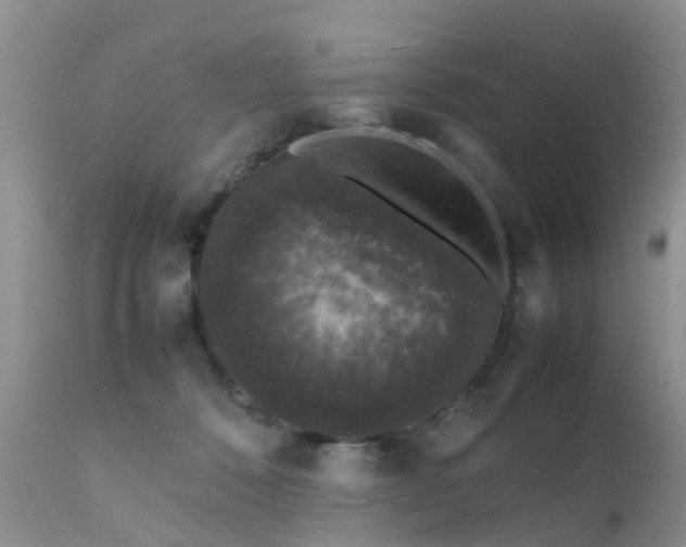 X0000112110320200908111448