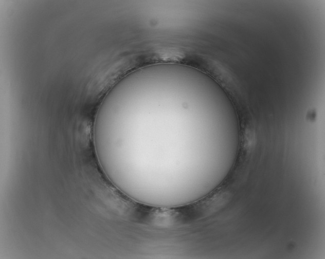 X0000112110321200908111448