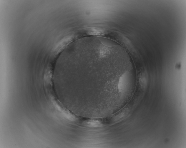 X0000112110322200908111448