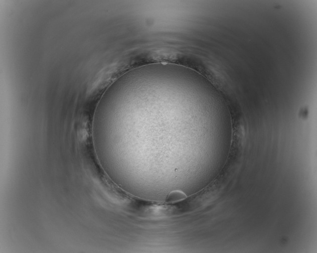 X0000112110323200908111448